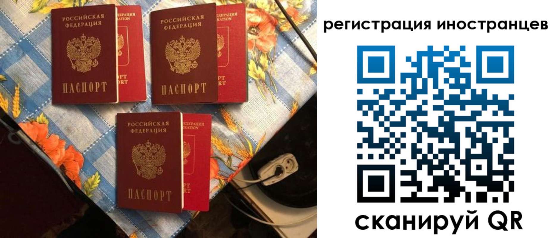 прописка поиск в Мирном